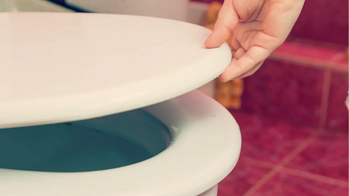 Perché i giapponesi si siedono sul water rivolti in avanti: il motivo sorprende, ma ha senso