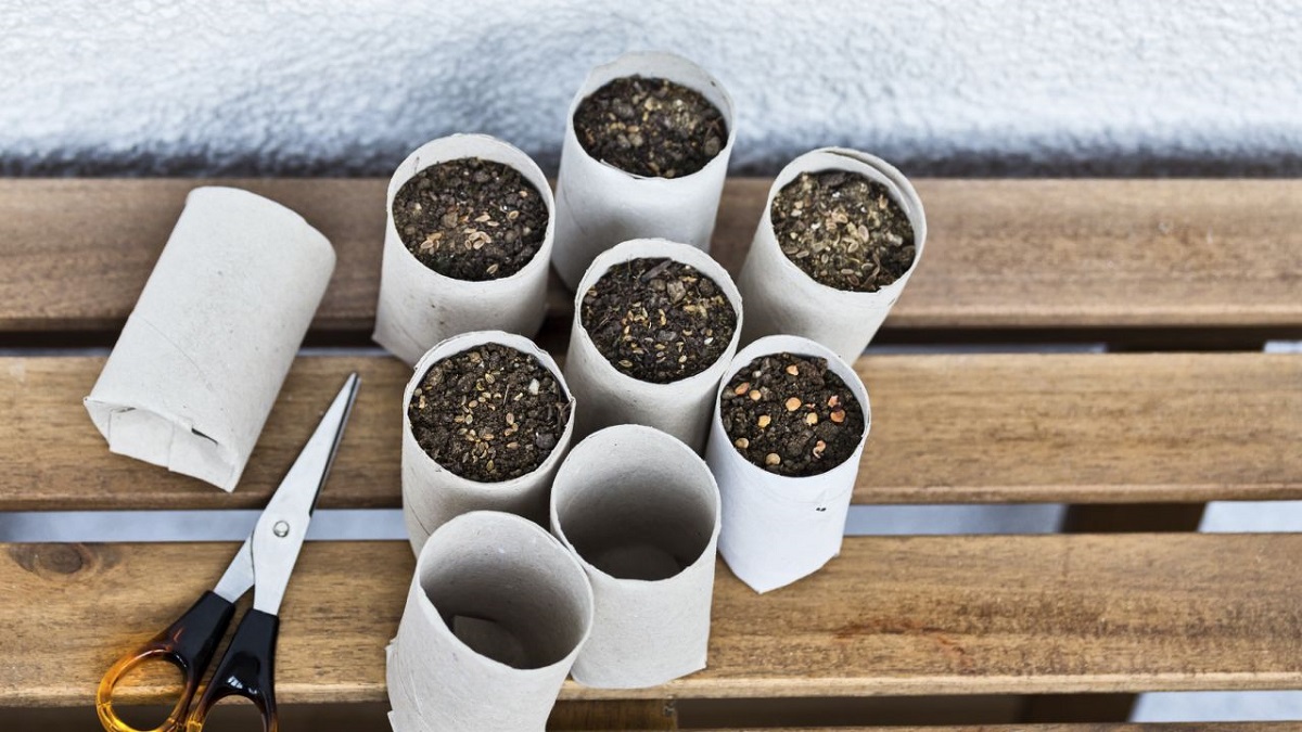 I rotoli di cartone della carta igienica non li butto, ma li custodisco come la pupilla dei miei occhi: 3 modi per usarli in casa — un trucco che si è ormai diffuso negli appartamenti italiani