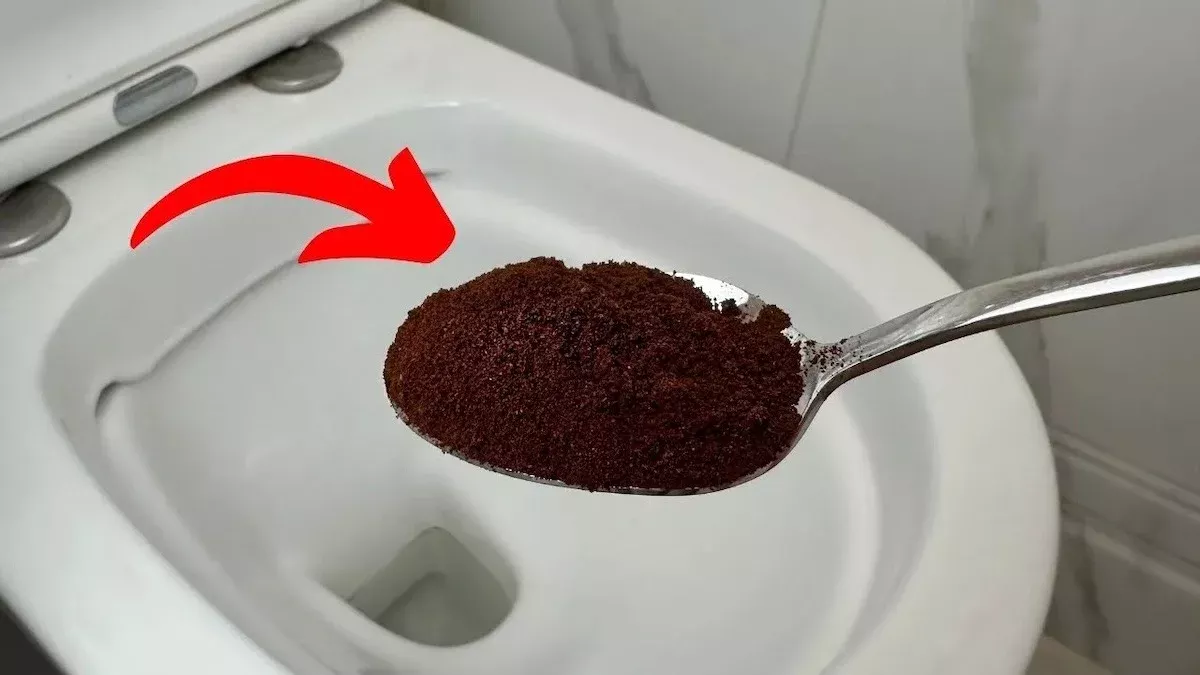 Buttare il caffè usato nel wc | A cosa serve e perché lo consigliano