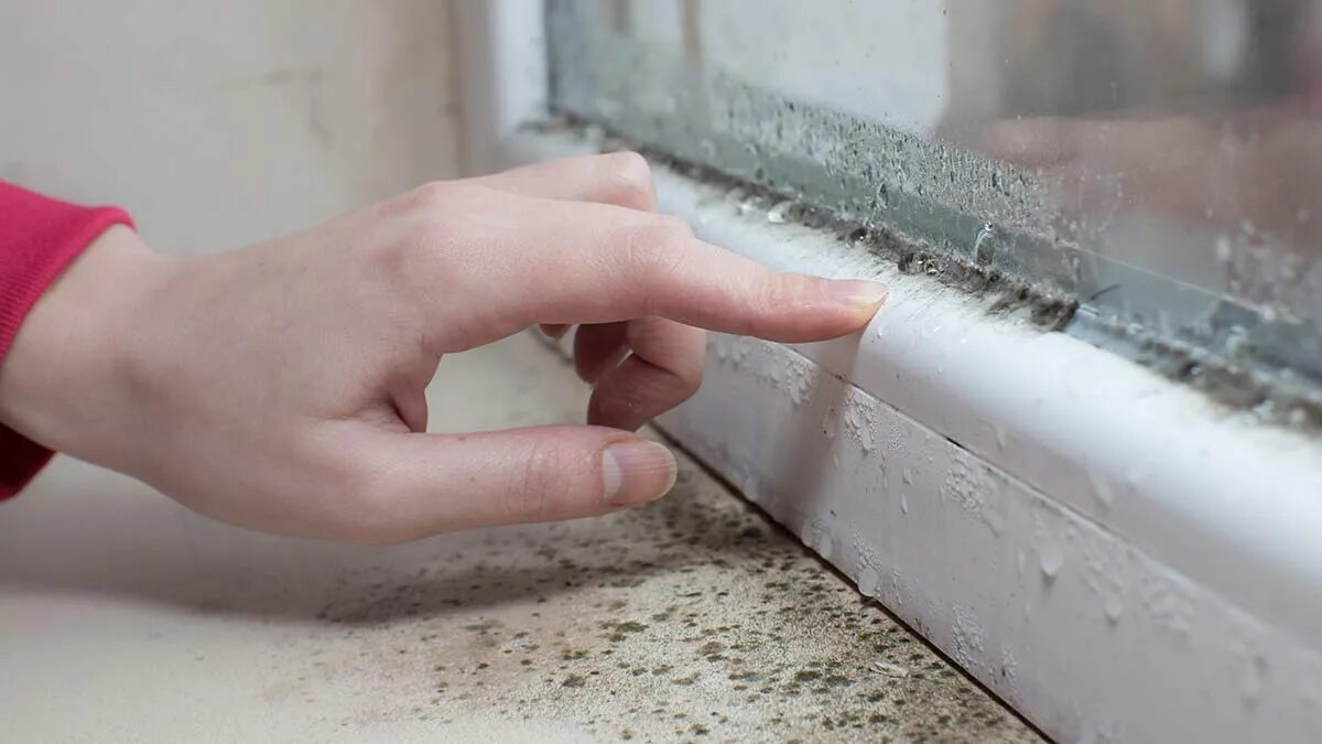 Un architetto parla dell’umidità in casa: «Consiglio sempre di attaccare al muro un pezzo di foglio di alluminio»