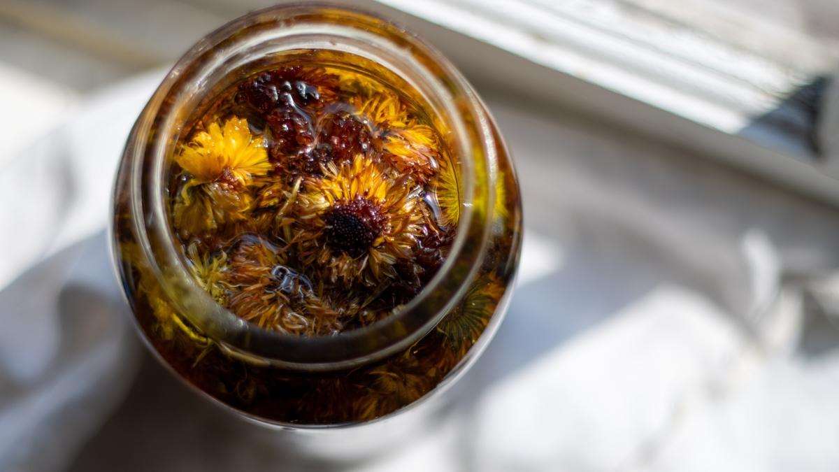 Tutti i giardinieri dovrebbero seminare la calendula tra le loro piante ad aprile