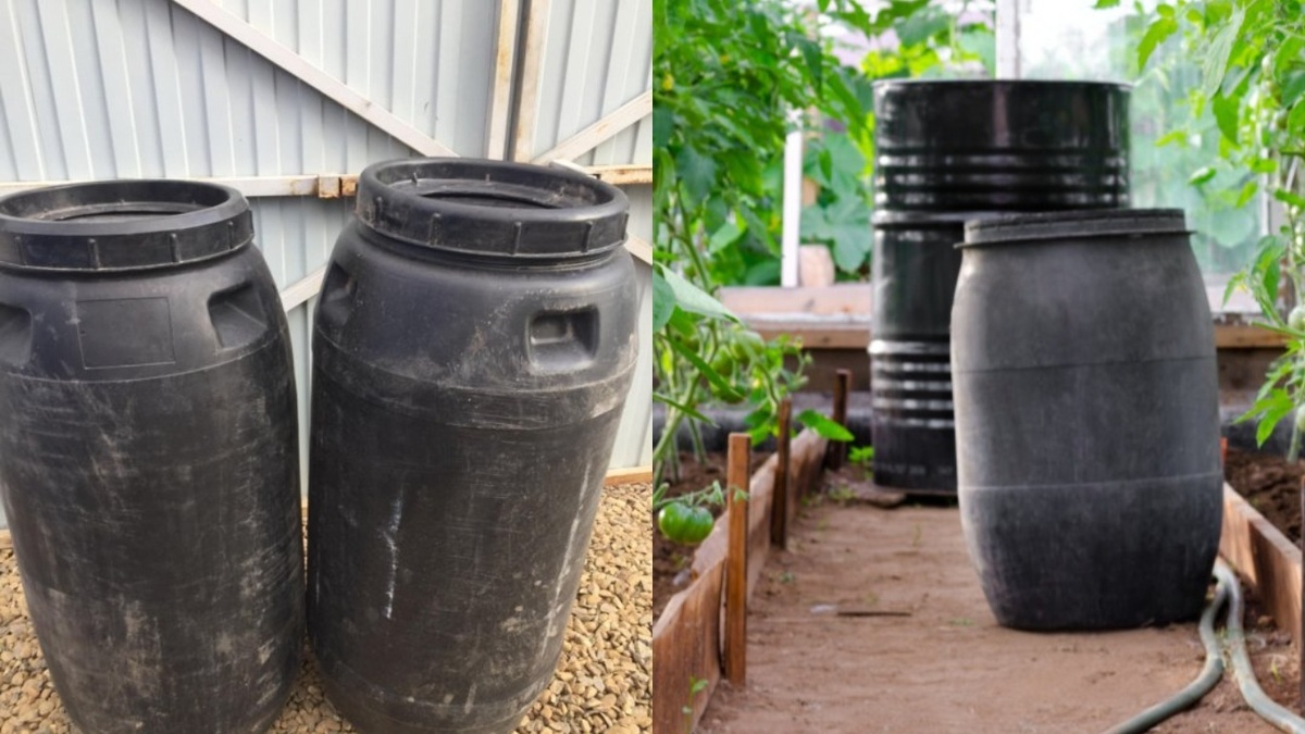 Riscaldo la serra in inverno senza elettricità, cavi e stufe: all’interno fa caldo anche con il gelo