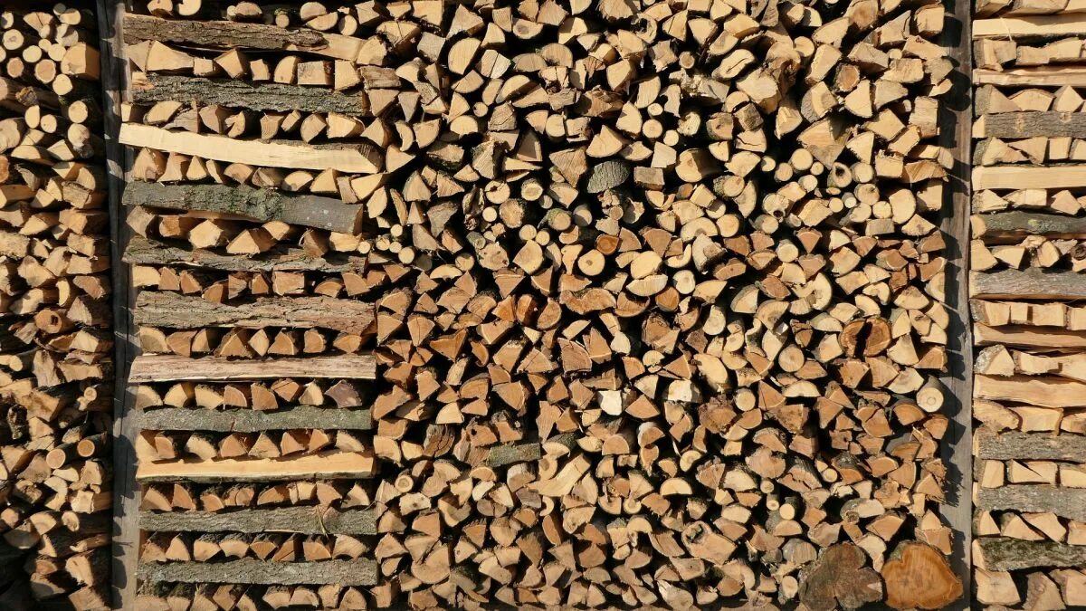 Questo non è assolutamente adatto al riscaldamento: un guardaboschi ha indicato il legno che ruba calore alle case