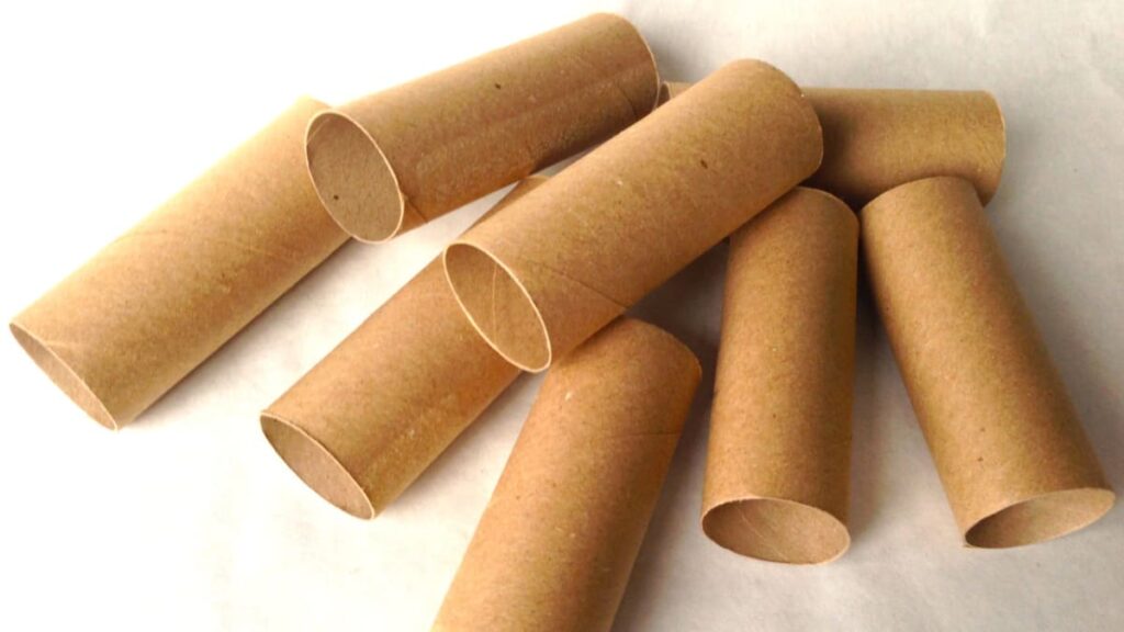 Conservo i rotoli di carta igienica come la pupilla dei miei occhi: ecco come li uso, una cosa utile in casa