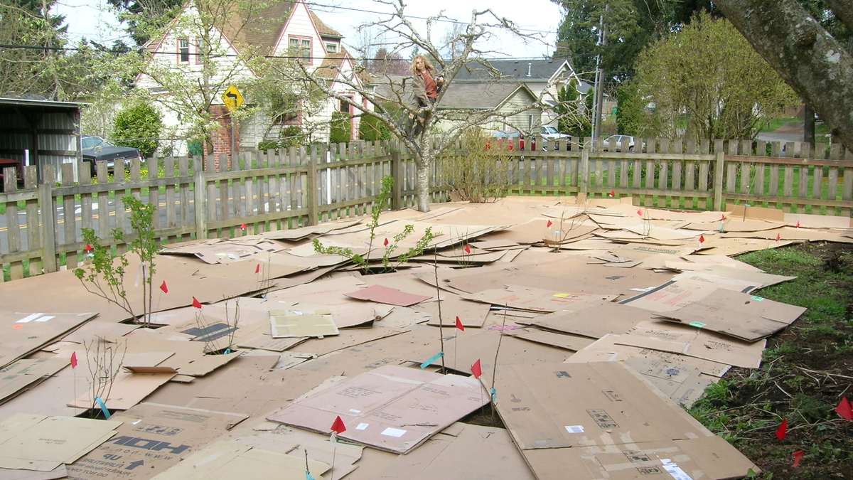 «Metti il cartone e torna tra un mese»: il mio vicino in pensione mi ha mostrato come preparare l’orto