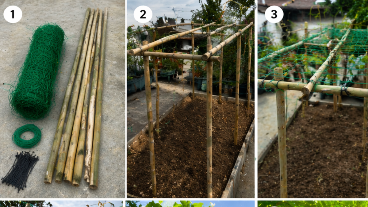 Consigli per l’orto di casa: ecco come coltivare la zucca a fiasco nel tuo orto domestico e dire addio ai problemi con le verdure durante l’estate
