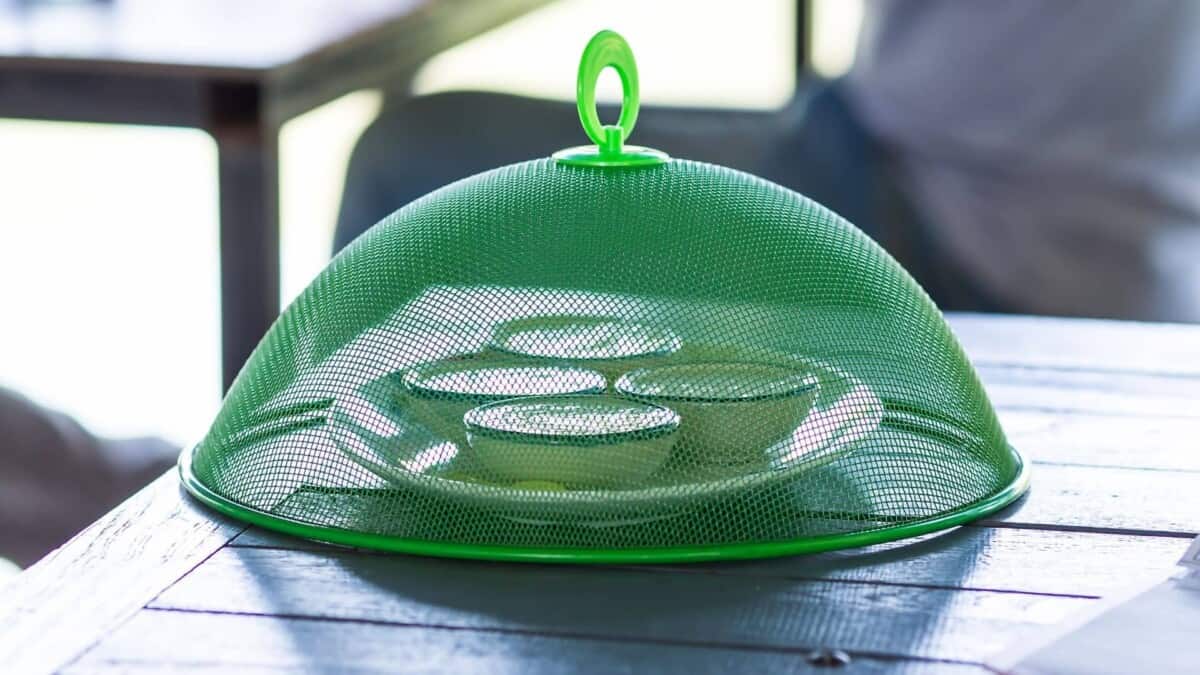 Invasione di mosche nelle case: metodi efficaci e rapidi per eliminarle definitivamente senza insetticidi 4 Invasione di mosche nelle case: metodi efficaci e rapidi per eliminarle definitivamente senza insetticidi