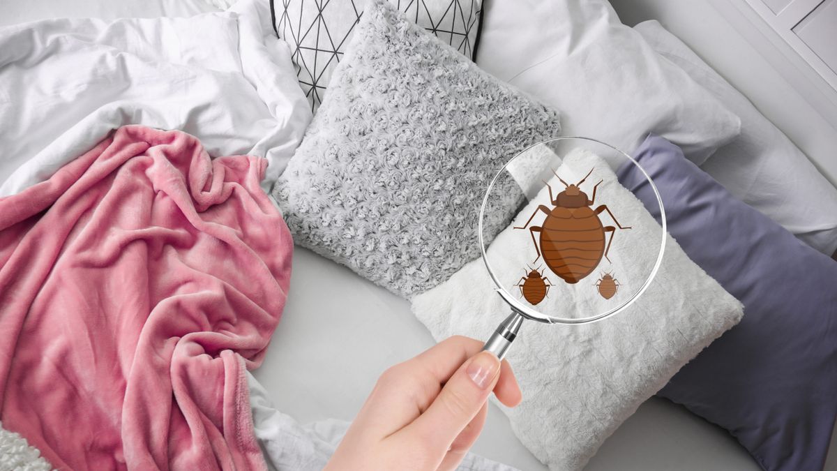 Esperto: “La biancheria da letto non dovrebbe essere cambiata né ogni due settimane né una volta al mese” – ECCO l’intervallo esatto di sostituzione