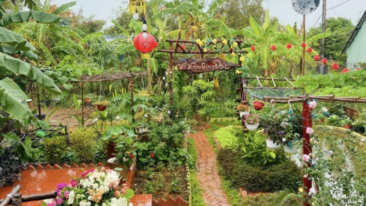 Il ragazzo di Vĩnh Long ha speso più di 4 mila euro per trasformare un terreno incolto in un giardino verde che resta rigoglioso tutto l’anno