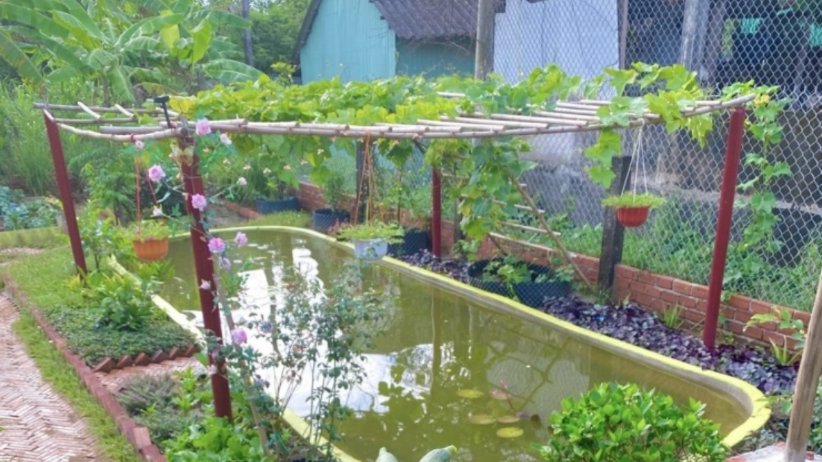 Il ragazzo di Vĩnh Long ha speso più di 4 mila euro per trasformare un terreno incolto in un giardino verde che resta rigoglioso tutto l’anno