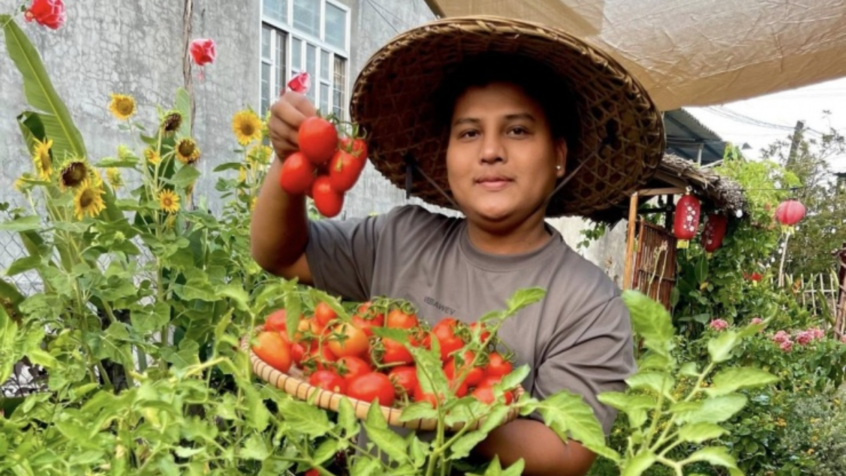 Il ragazzo di Vĩnh Long ha speso più di 4 mila euro per trasformare un terreno incolto in un giardino verde che resta rigoglioso tutto l’anno