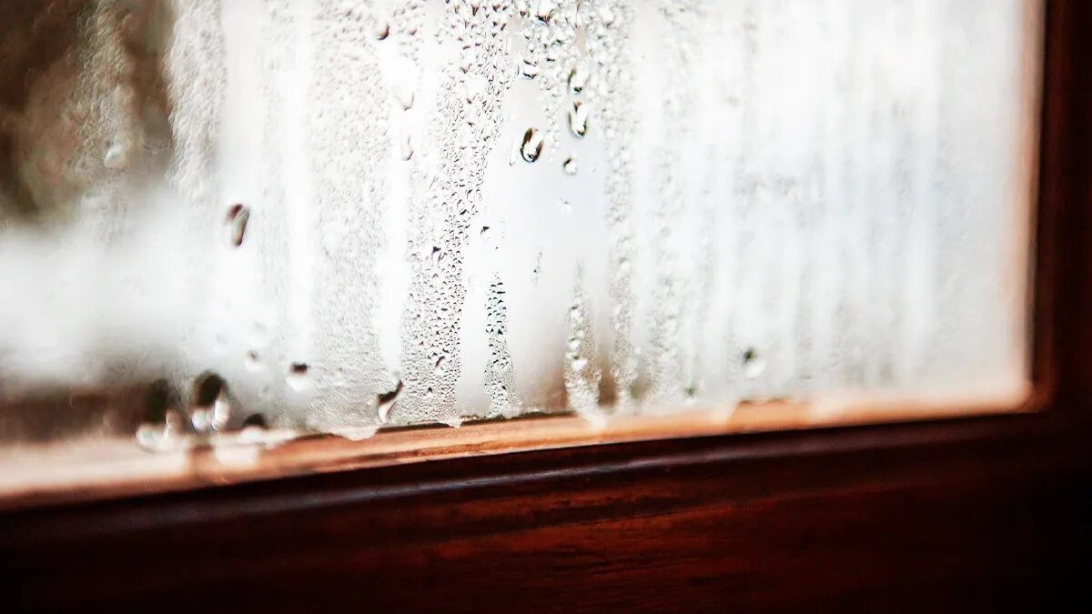 Il trucco del cucchiaio sulla finestra per ridurre l’umidità 2 Il trucco del cucchiaio sulla finestra per ridurre l’umidità