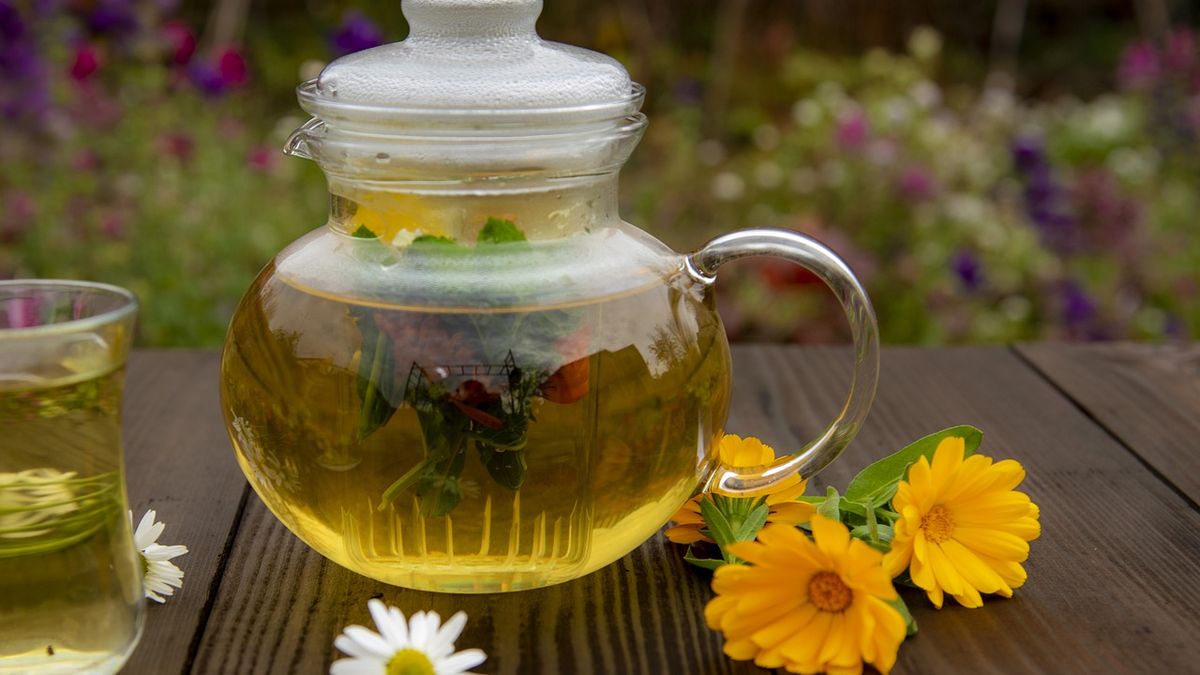 Tutti i giardinieri dovrebbero seminare la calendula tra le loro piante ad aprile