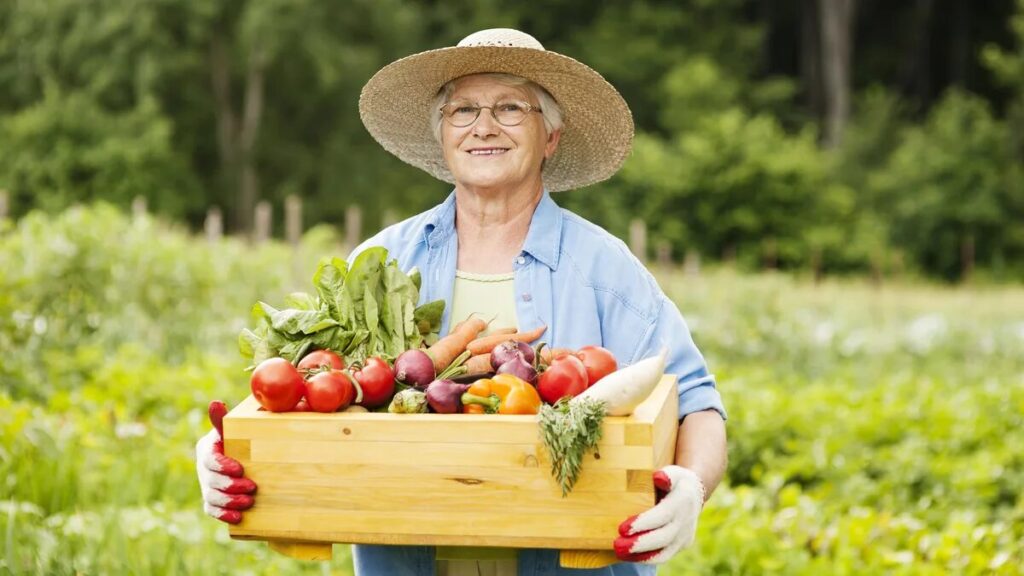 Maria (71) spende 100 euro al mese per la spesa: «Il mio giardino è il mio supermercato»