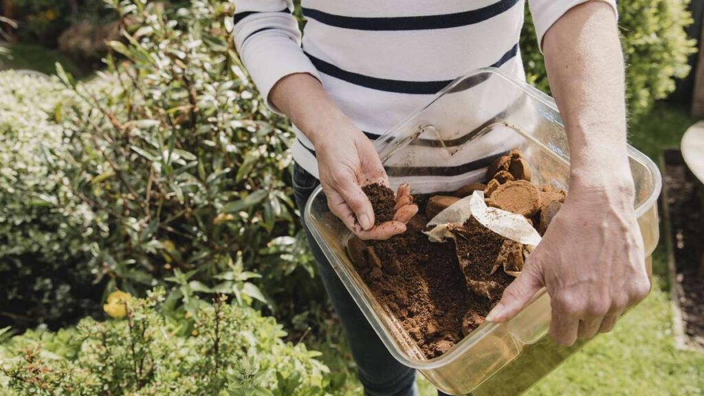 « Mettevo i fondi di caffè ai piedi delle mie piante »: un orticoltore mi ha spiegato perché moriva tutto