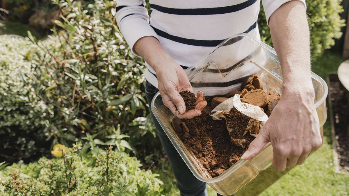 « Mettevo i fondi di caffè ai piedi delle mie piante »: un orticoltore mi ha spiegato perché moriva tutto
