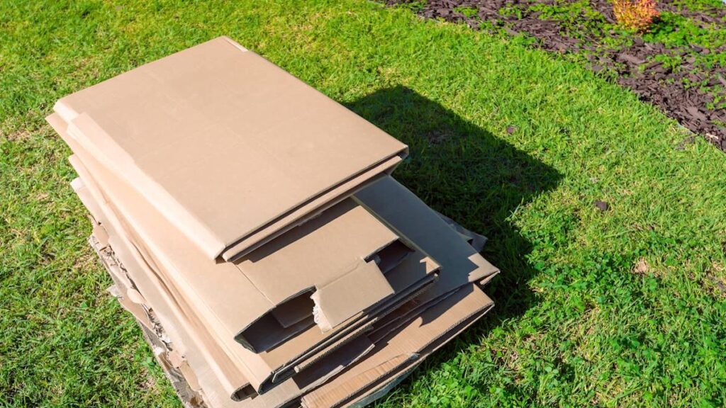 «Metti il cartone e torna tra un mese»: il mio vicino in pensione mi ha mostrato come preparare l’orto