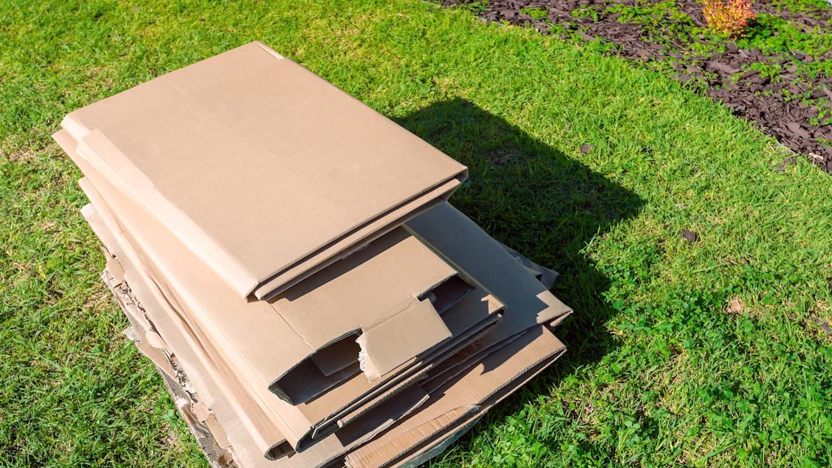 «Metti il cartone e torna tra un mese»: il mio vicino in pensione mi ha mostrato come preparare l’orto