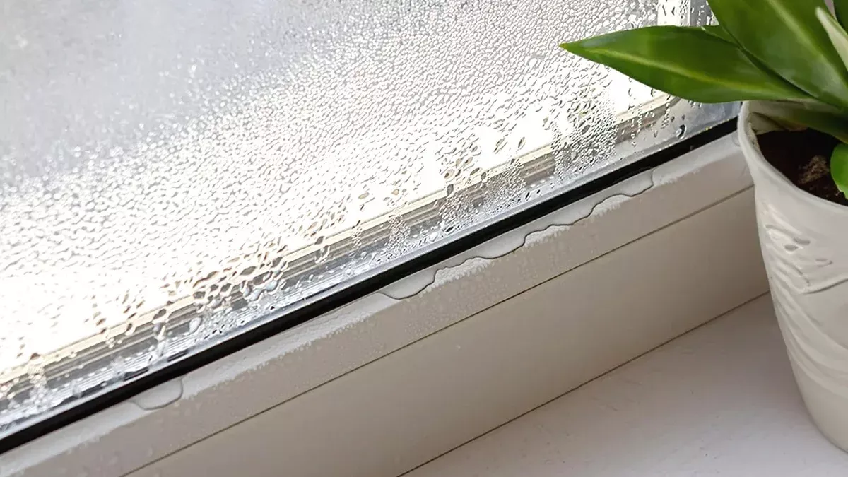 Metti questo sul davanzale e i vetri si asciugheranno entro un’ora. Funziona davvero in modo efficace