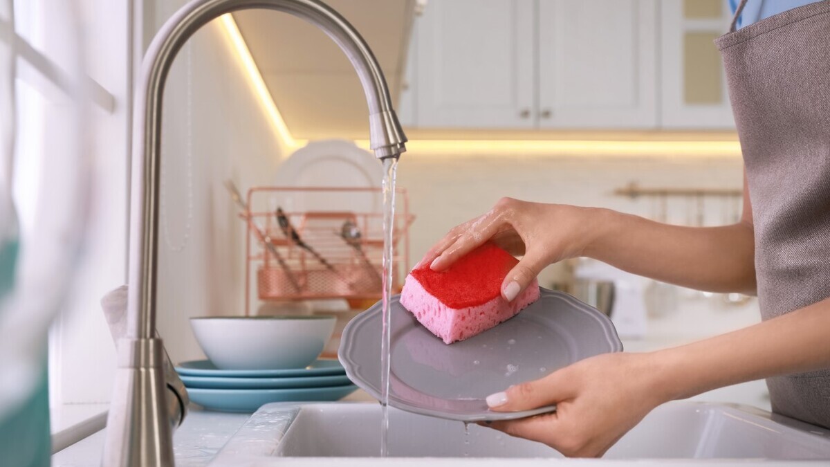 Ho messo la spugna da cucina nel congelatore e non riuscivo a credere al risultato