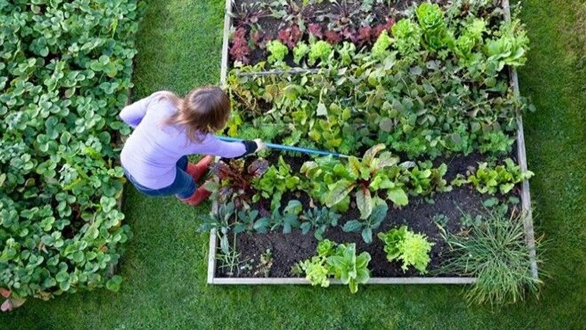 Questa tendenza per il giardino sarà il grande successo della prossima estate, ma non fa per tutti