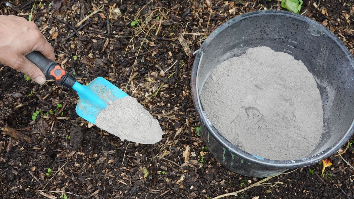 Imbiancatura con cenere: un trattamento antico per proteggere naturalmente i vostri alberi