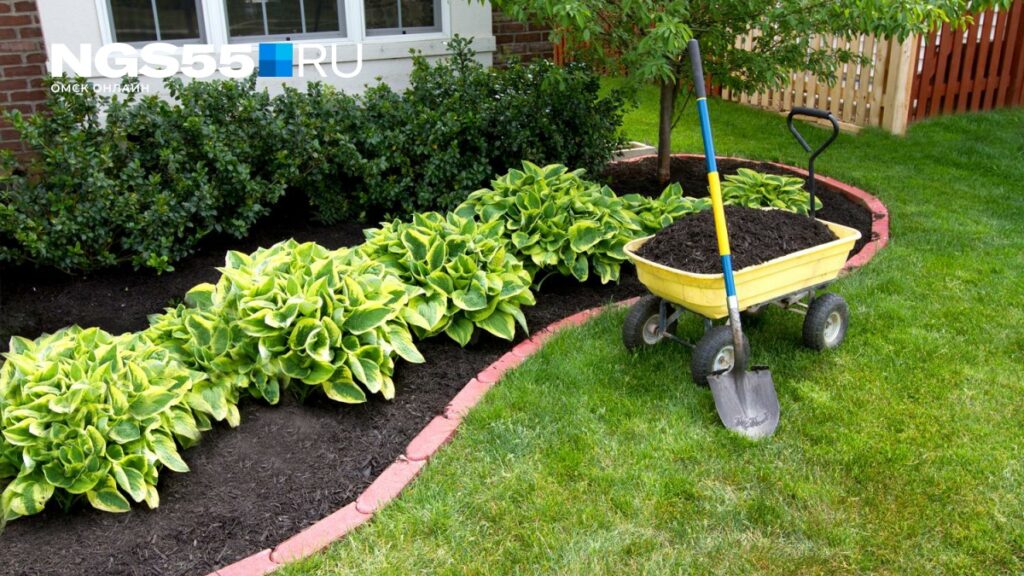 Questa tendenza per il giardino sarà il grande successo della prossima estate, ma non fa per tutti