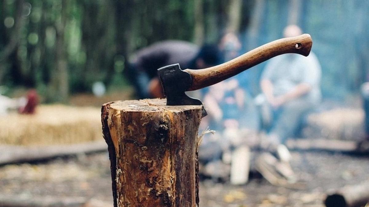 Questo non è assolutamente adatto al riscaldamento: un guardaboschi ha indicato il legno che ruba calore alle case