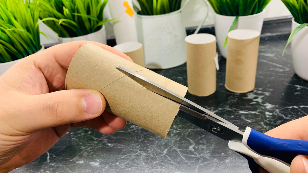 Conservo i rotoli di carta igienica come la pupilla dei miei occhi: ecco come li uso, una cosa utile in casa