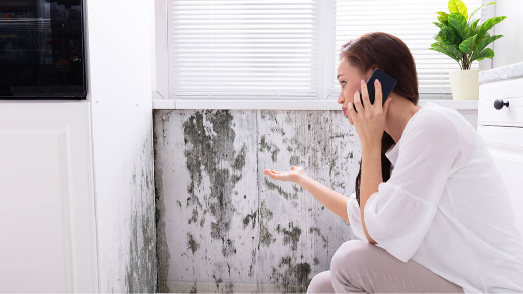 Un architetto parla dell’umidità in casa: «Consiglio sempre di attaccare al muro un pezzo di foglio di alluminio»