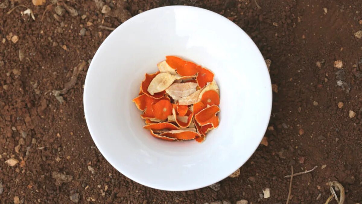 Le bucce d’arancia in giardino: un semplice trucco contro gli “ospiti” indesiderati