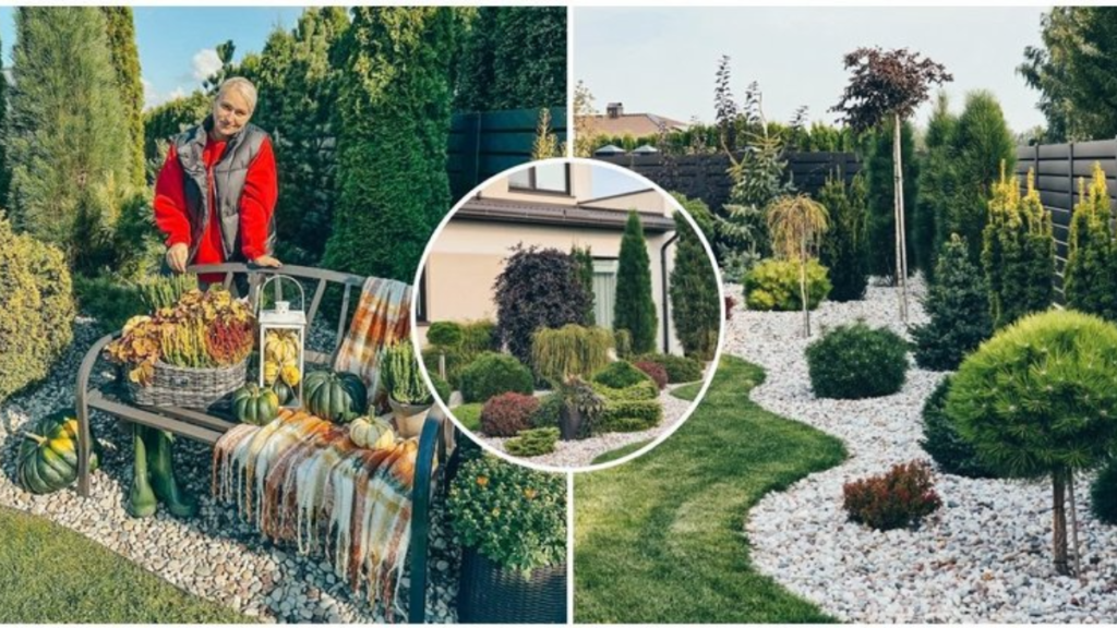 Vedendo il giardino di Evelina si fermano anche gli sconosciuti: ha svelato consigli che valgono oro